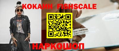 гидра Славгород