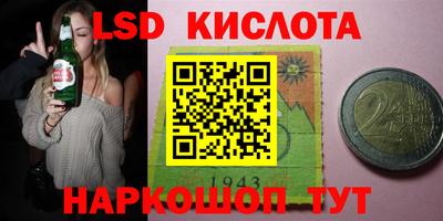 гидра Славгород