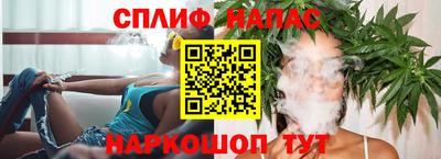 крисы Славянск-на-Кубани