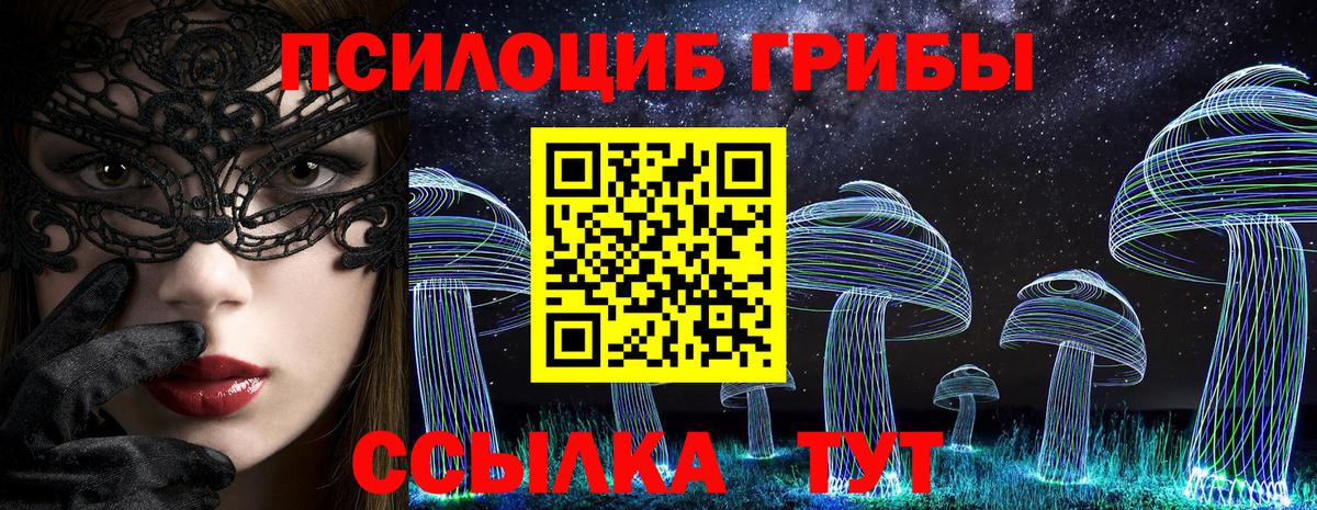 Псилоцибиновые грибы GOLDEN TEACHER Полысаево