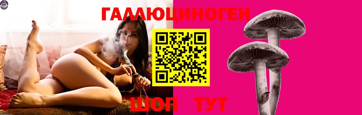 Полысаево  Псилоцибиновые грибы прущие грибы  Галлюциногенные грибы GOLDEN TEACHER  Вход с VPN 